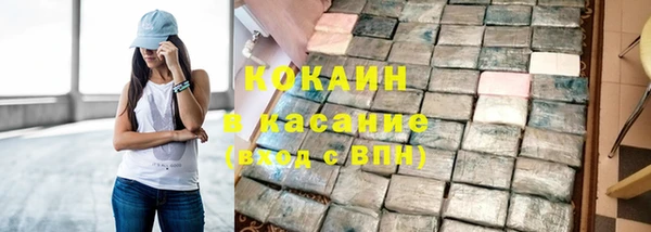 крисы Елизово