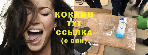 прущие крисы Ельня