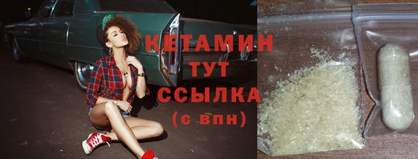 прущие крисы Ельня