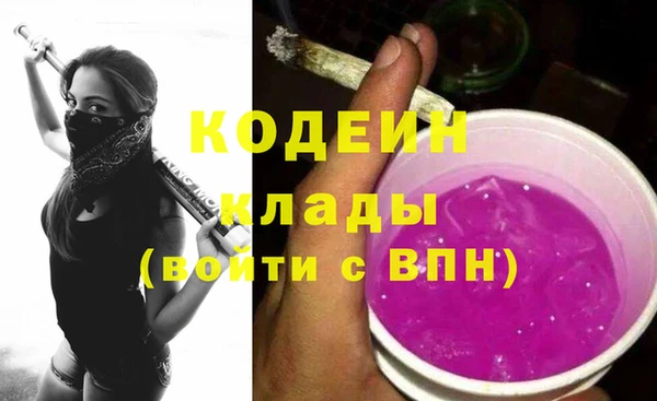 крисы Елизово