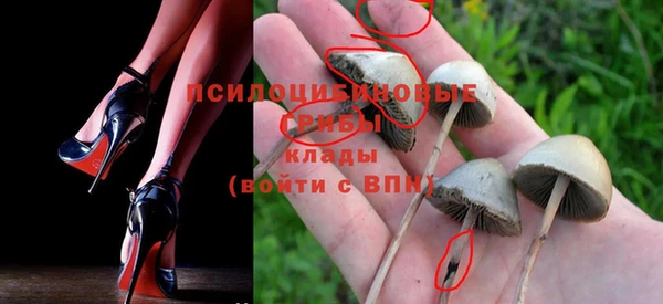 крисы Елизово
