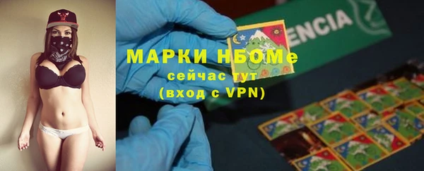 прущие крисы Ельня