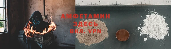 прущие крисы Ельня