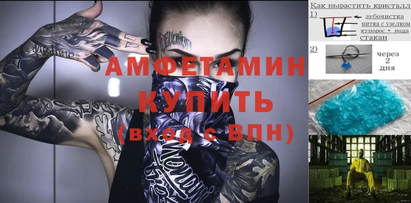 прущие крисы Ельня