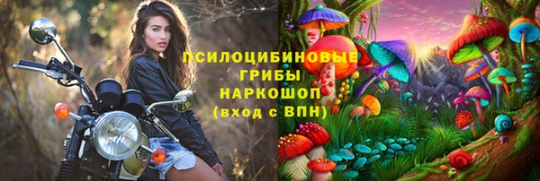 прущие крисы Ельня