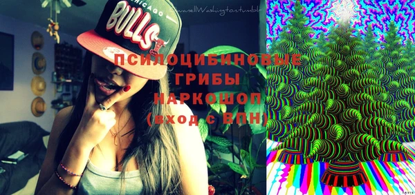 крисы Елизово