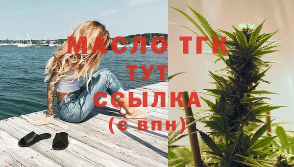 прущие крисы Ельня