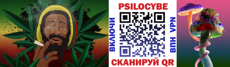 Псилоцибиновые грибы Psilocybine cubensis  где купить наркоту  Заринск 